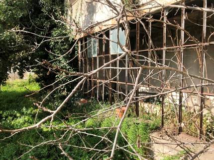 Bâtiment abandonné et structure métallique rouillée Structure métallique rouillée et branches nues devant un bâtiment abandonné envahi par la végétation.