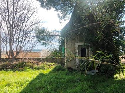 Cabanon en pierre et jardin sauvage sous le soleil Cabanon en pierre envahi par la végétation dans un jardin sauvage ensoleillé.