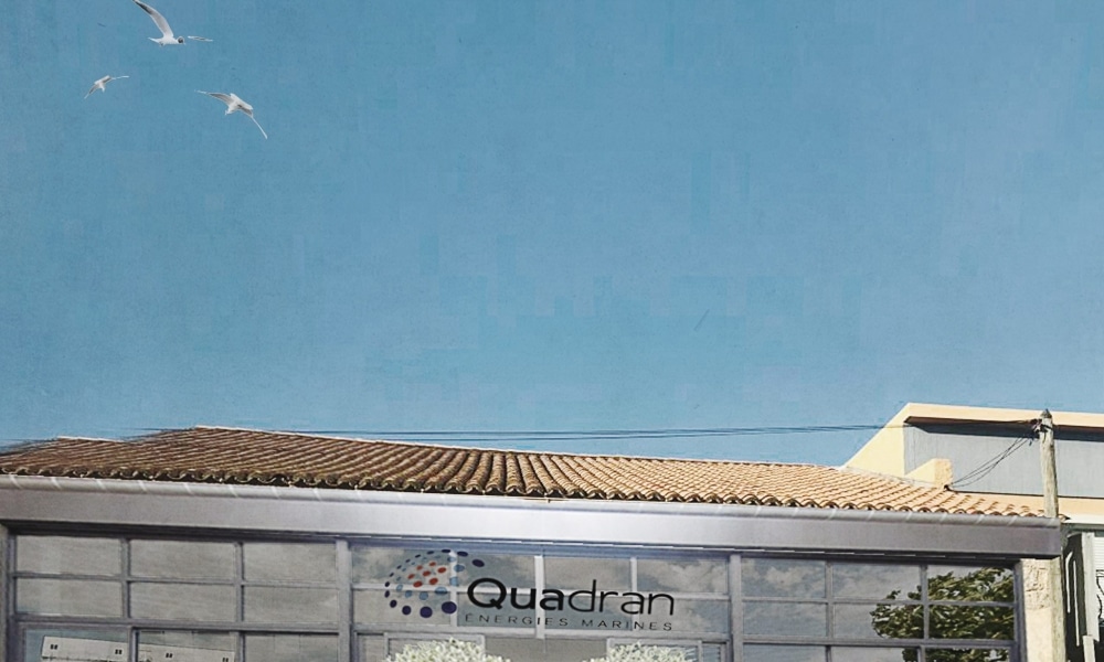 Logo Quadran Energies Marines sur façade vitrée et mouettes en plein vol.